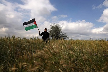 Sektor Pertanian Palestina Rugi 204 Juta USD Akibat Serangan Militer Terbaru Israel Di Gaza